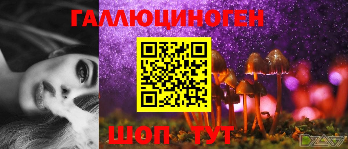 Псилоцибиновые грибы MAGIC MUSHROOMS  Вход с VPN  Ревда 