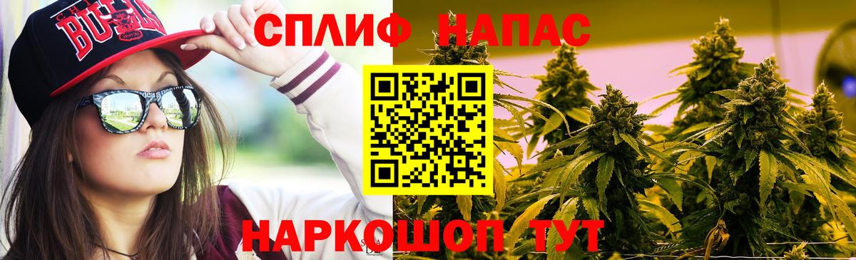 Каннабис конопля Ревда